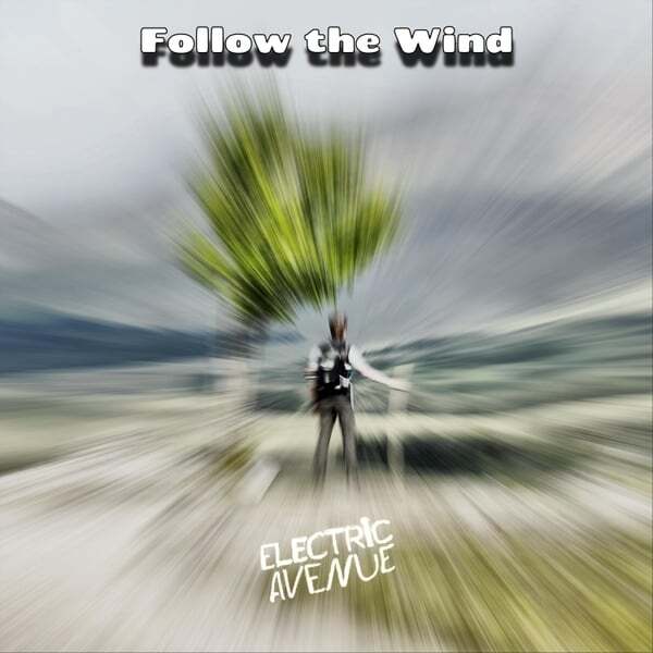 Cover art for Follow the Wind